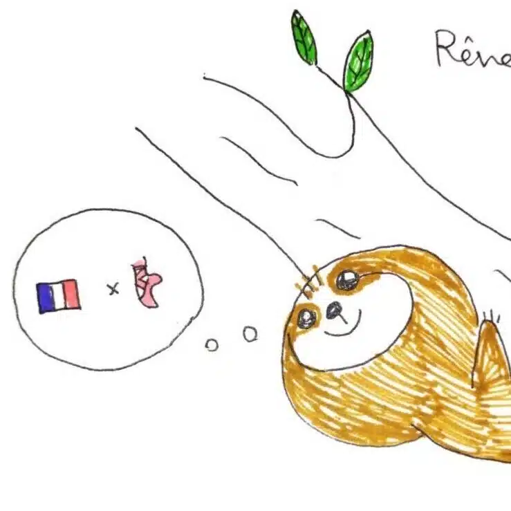 ぱれすぅ〜(夢見る🇫🇷🩰好き学生)