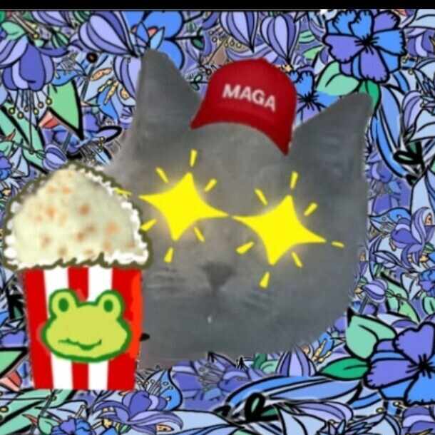 dariru_QAJF🌟🌟🌟