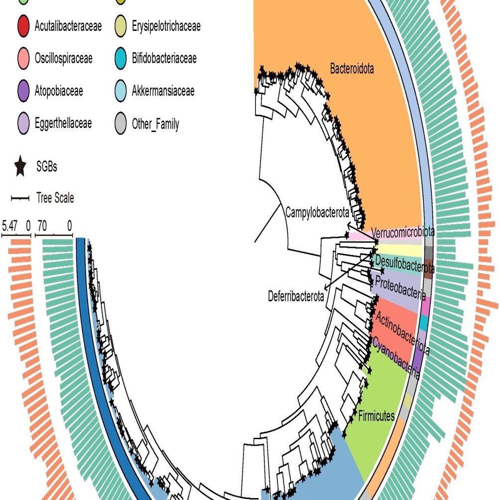 メタゲノム解析によるToxoplasma gondii感染マウスの腸内細菌叢の構成