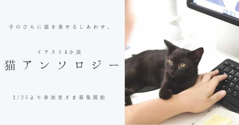 猫アンソロジー 参加者募集中 笹波ことみ Note