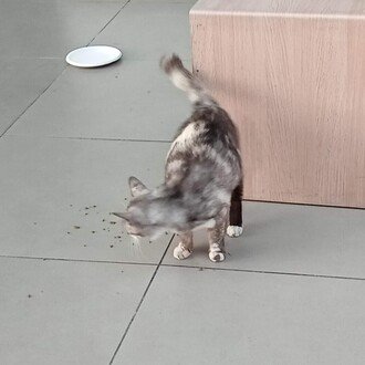 メニュー