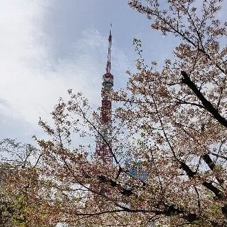 真山おーすけ