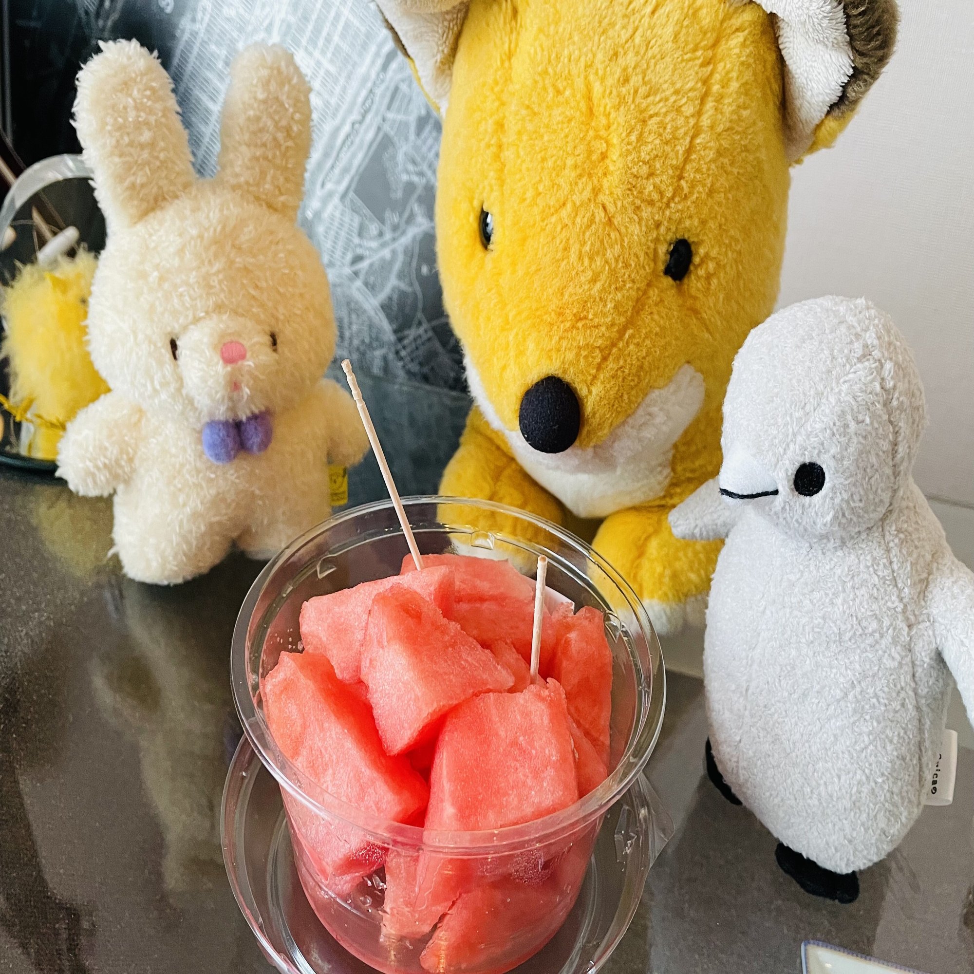 今年の初モノのスイカがきつね氏に奉納された🦊🍉✨️ カットしてある