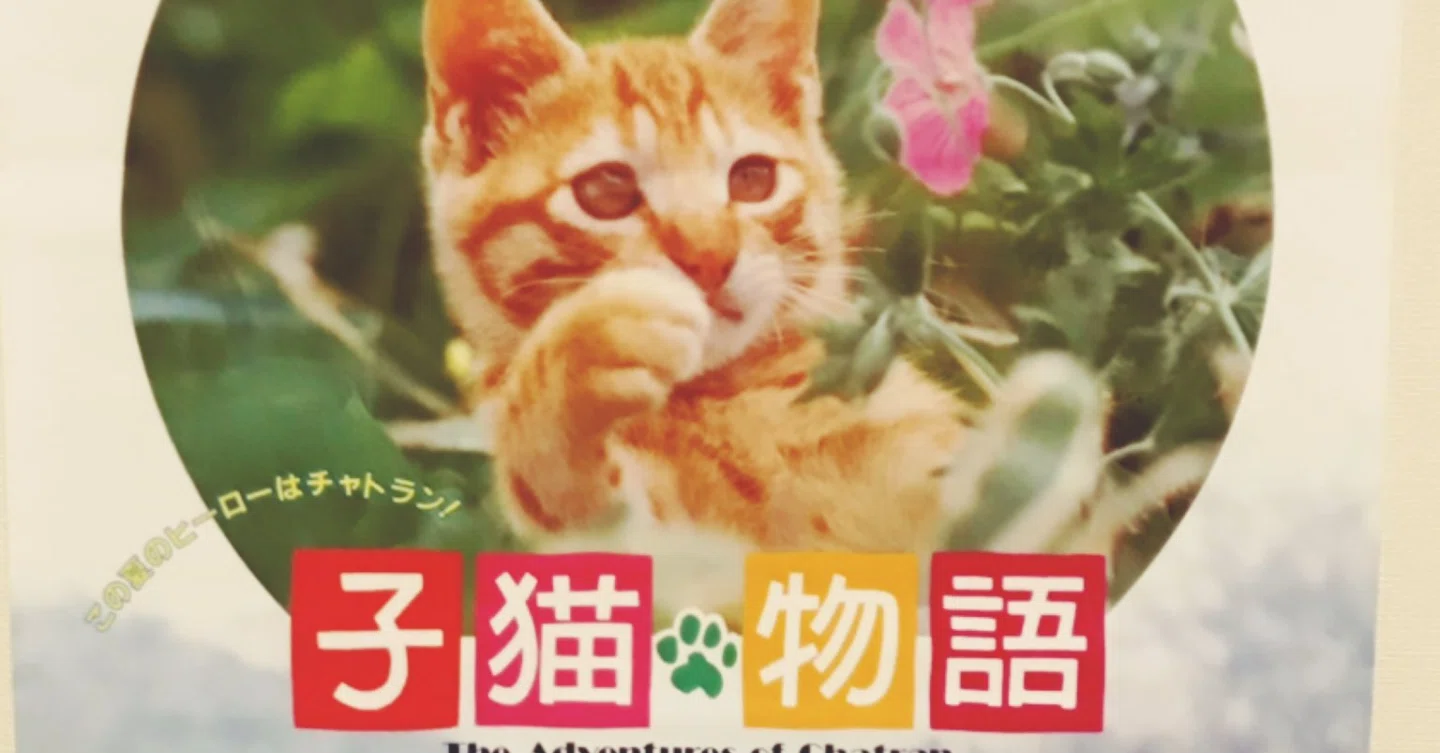子猫物語」のテーマ曲を分析しよう｜KKさん