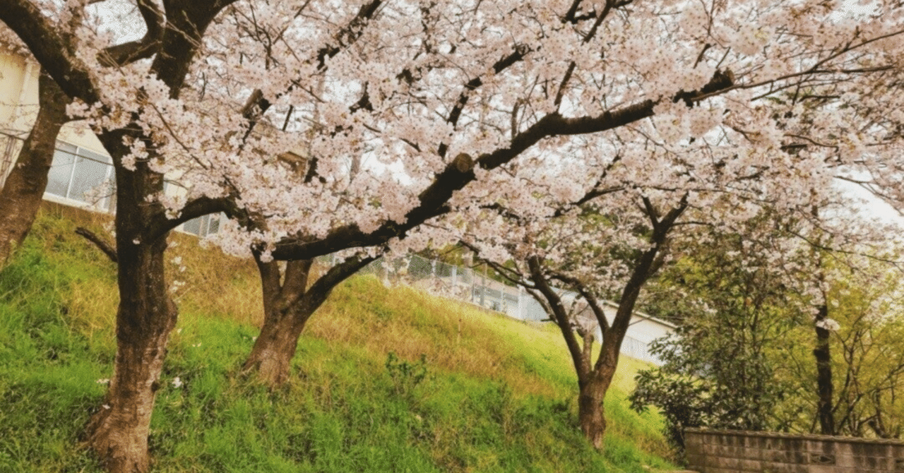 【ゆる報#34】「note川のベンチ」から4月のごあいあつ🤍｜そら｜肩書きのないnoter｜note