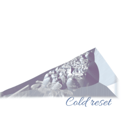 Cold reset