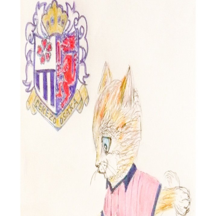 イラストその7 セレッソ大阪 スローガンがいいですね 閃け 輝け