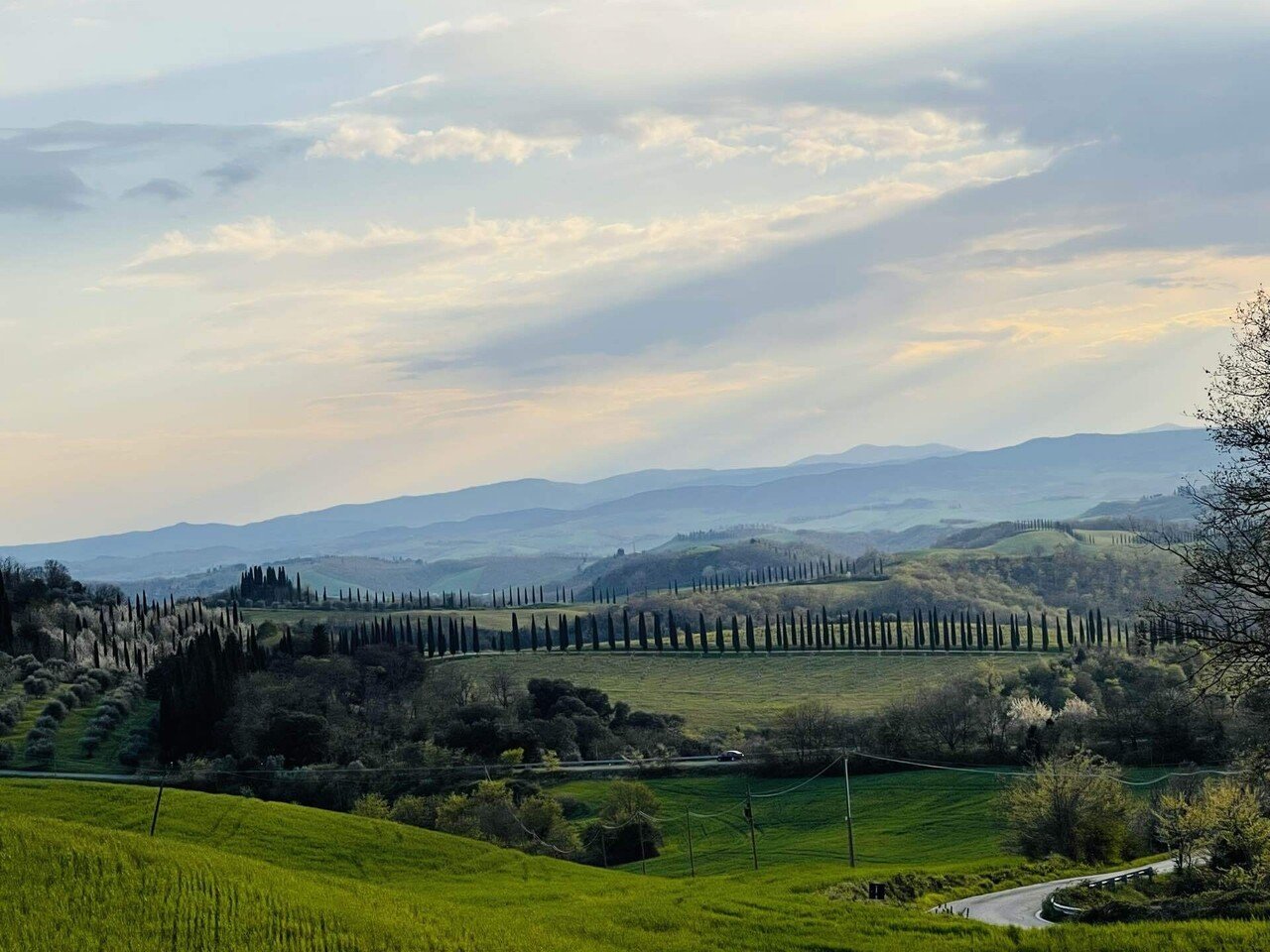 イタリア🇮🇹トスカーナ旅行/絶景を拝むクレテセネージ