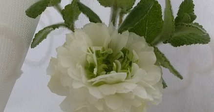 一輪の花」の人気タグ記事一覧｜note ――つくる、つながる、と