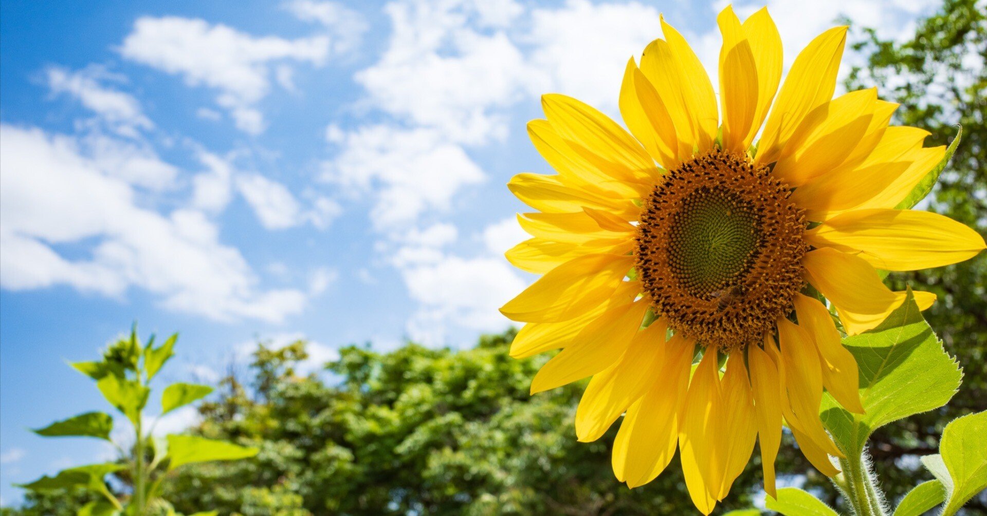 0d486297d9984388849653dfc2a06c