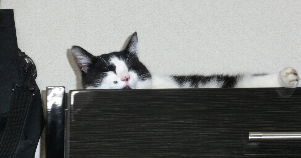 【MJ麻雀】R3000を達成するために②R計算方法。 ｜猫ゴロN