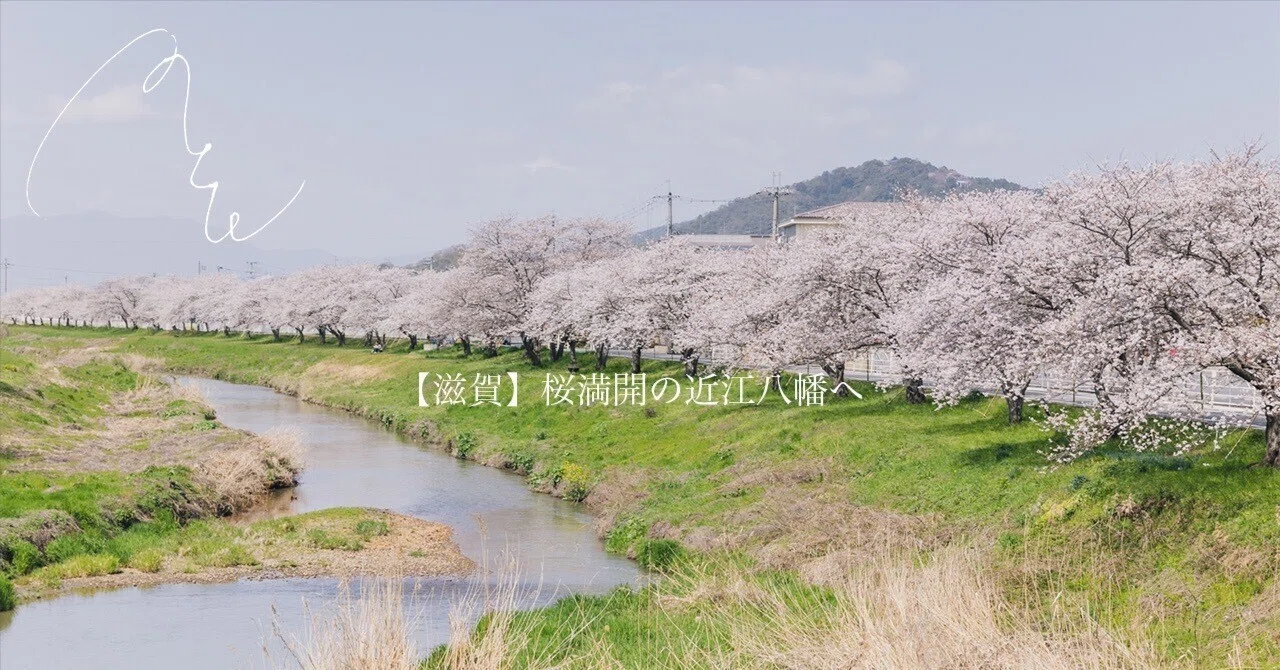 627【滋賀】桜満開の近江八幡へ｜旅するフォトマガジン MとW