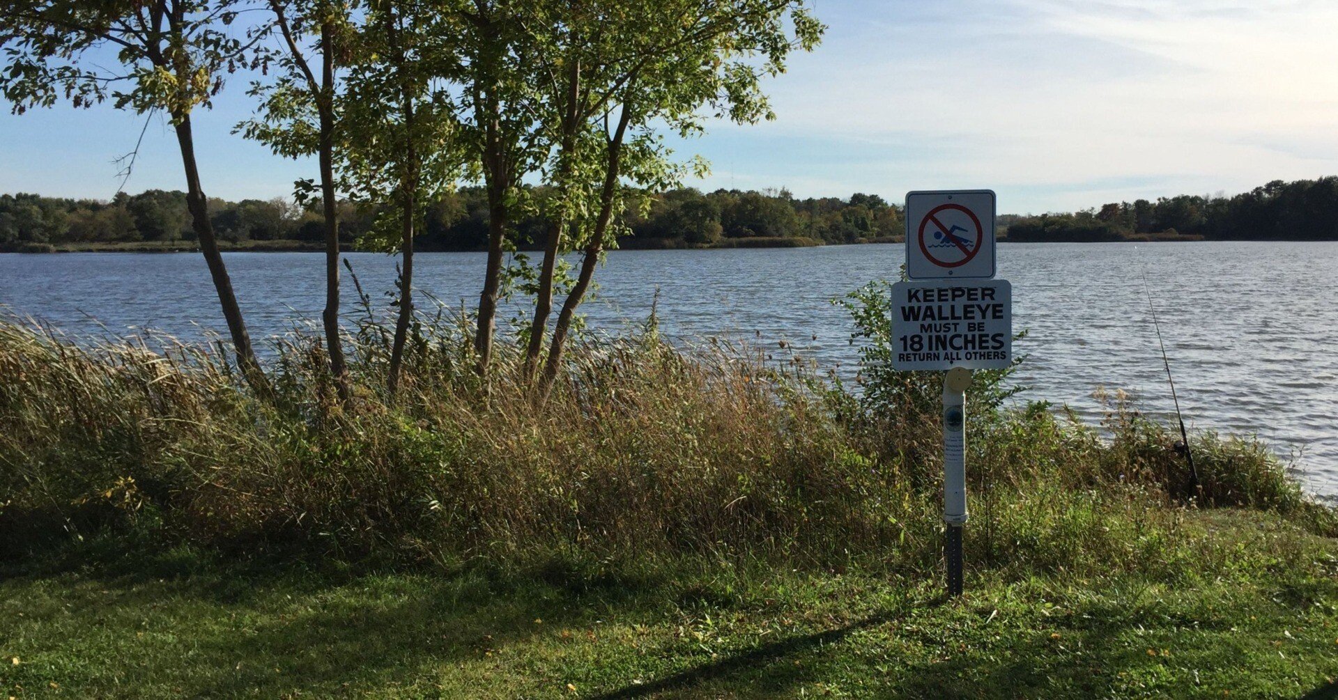 入手不可能！A Background to English(英国の環境) 入手不可能！A Background to English(英国の環境) 入手不可能！A