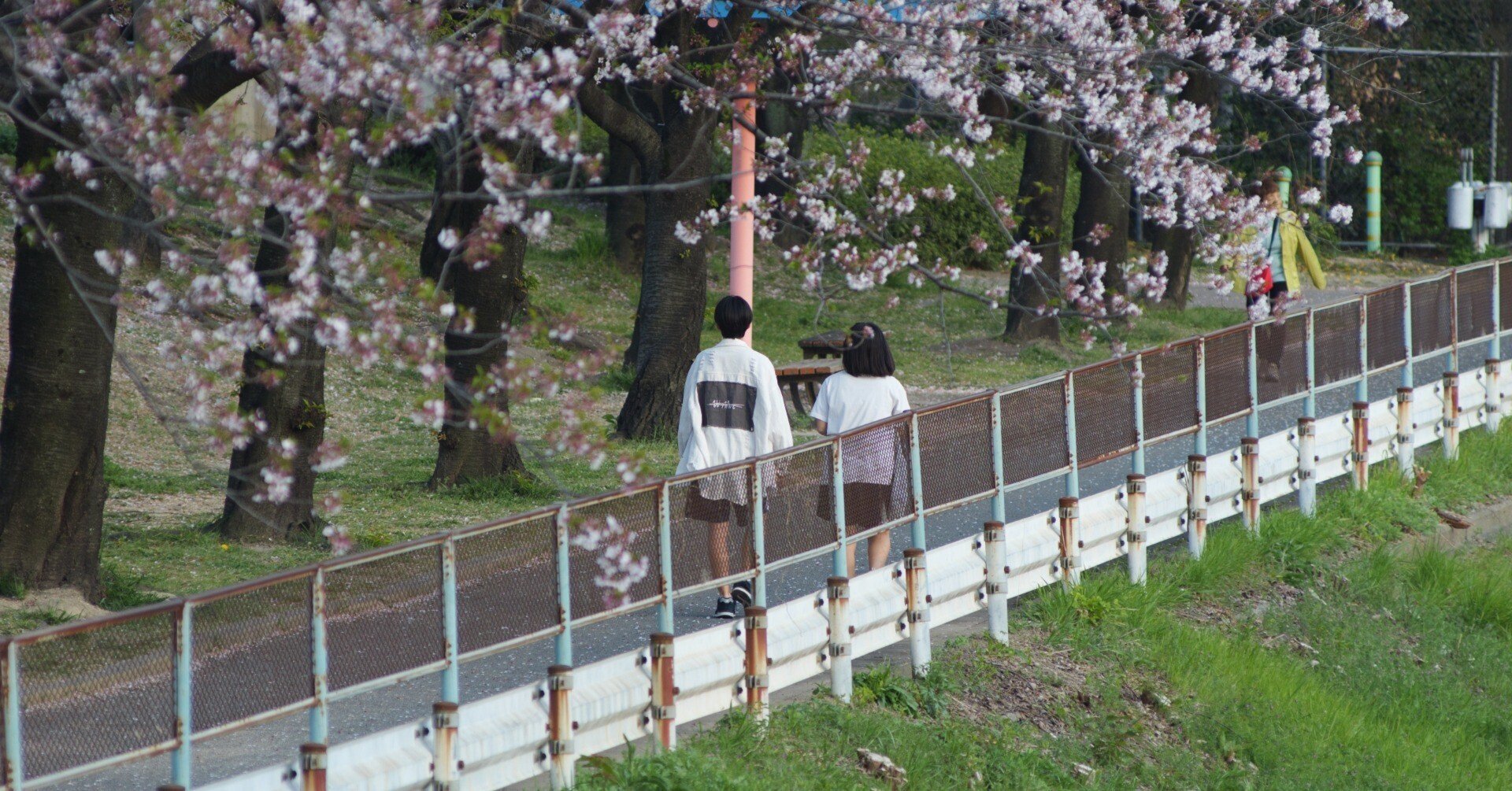 レンズにカメラを付け替える | Nikon Ai AF VR Zoom-Nikkor 80-400mm f