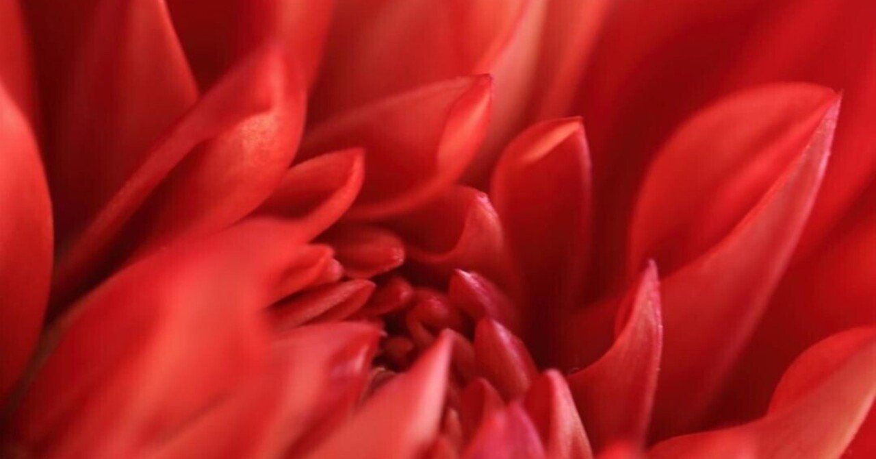 薔薇色の人生　障害を乗り越え最高の人生へ Amazon.co.jp: 薔薇色の人生: Music
