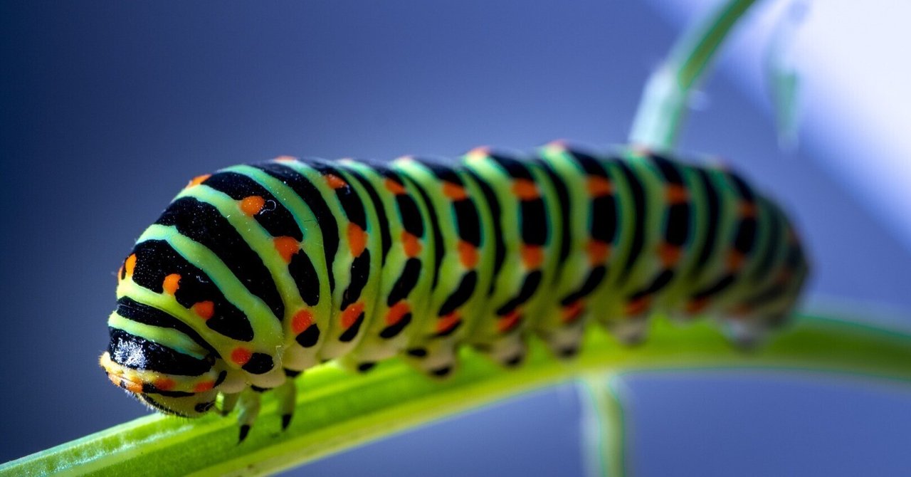 The Little-Known World of Caterpillars”（あまり知られてい