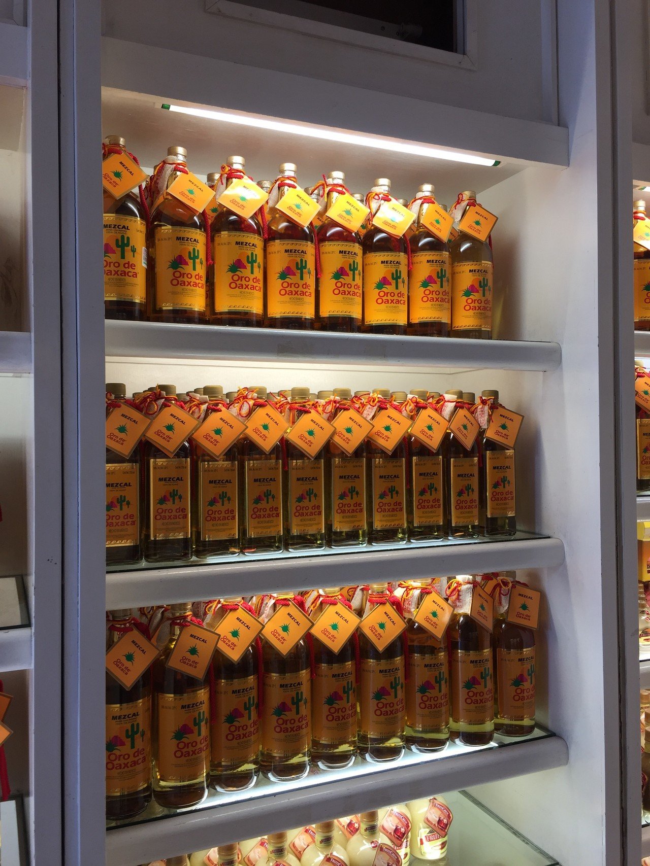 メスカル｜京都ラテンアメリカ文化協会