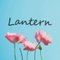 ランタン -Lantern-