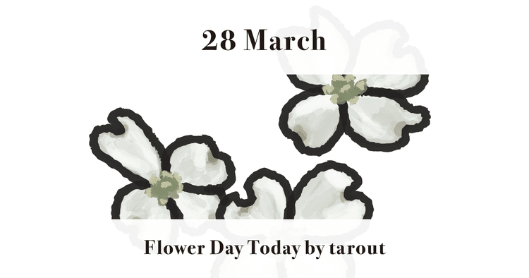 今日のお花 タロアウト キャラクターアーティスト Note 今日のお花 タロアウト キャラクターアーティスト Note