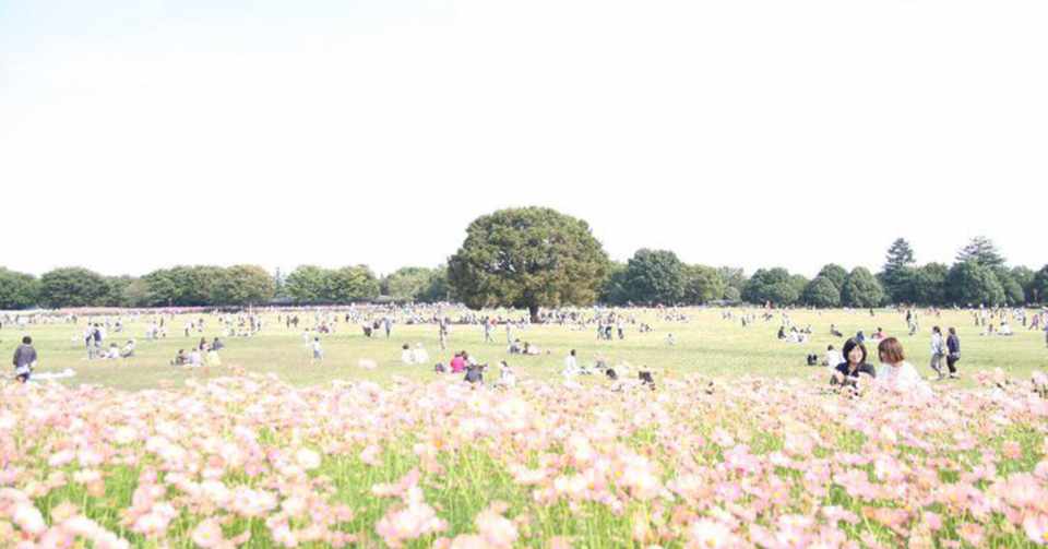 無心になる Yachi Note