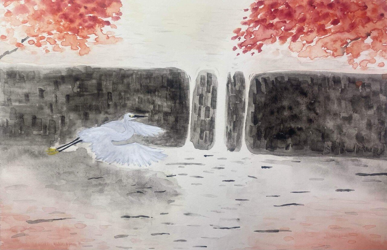 写真と制作｜コサギの美しさ｜夜と街