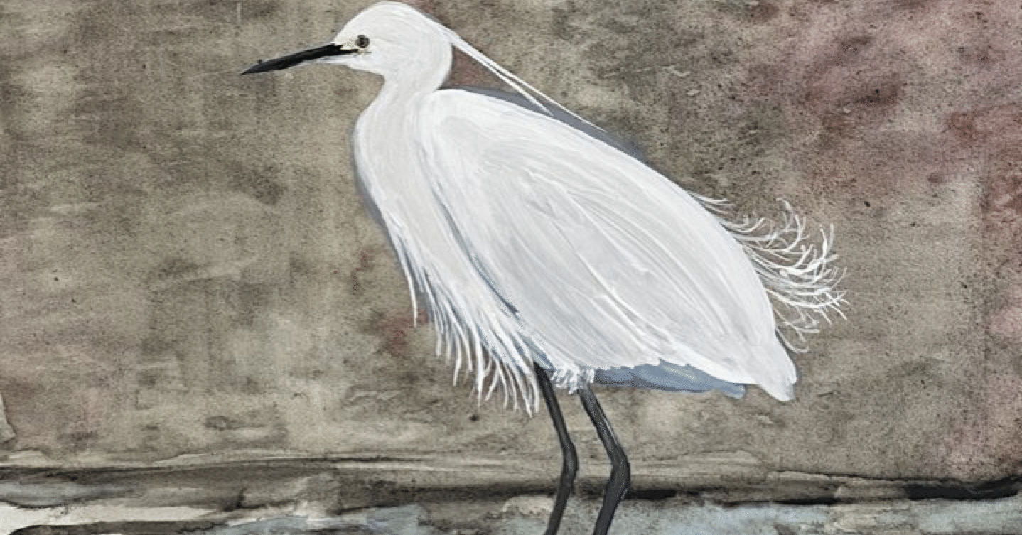 写真と制作｜コサギの美しさ｜夜と街