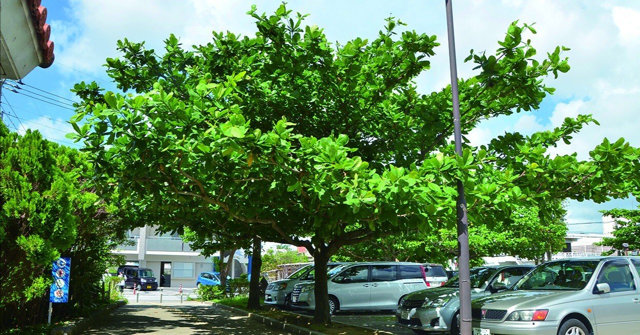 216a769edbdf3974da6d2189d30c70