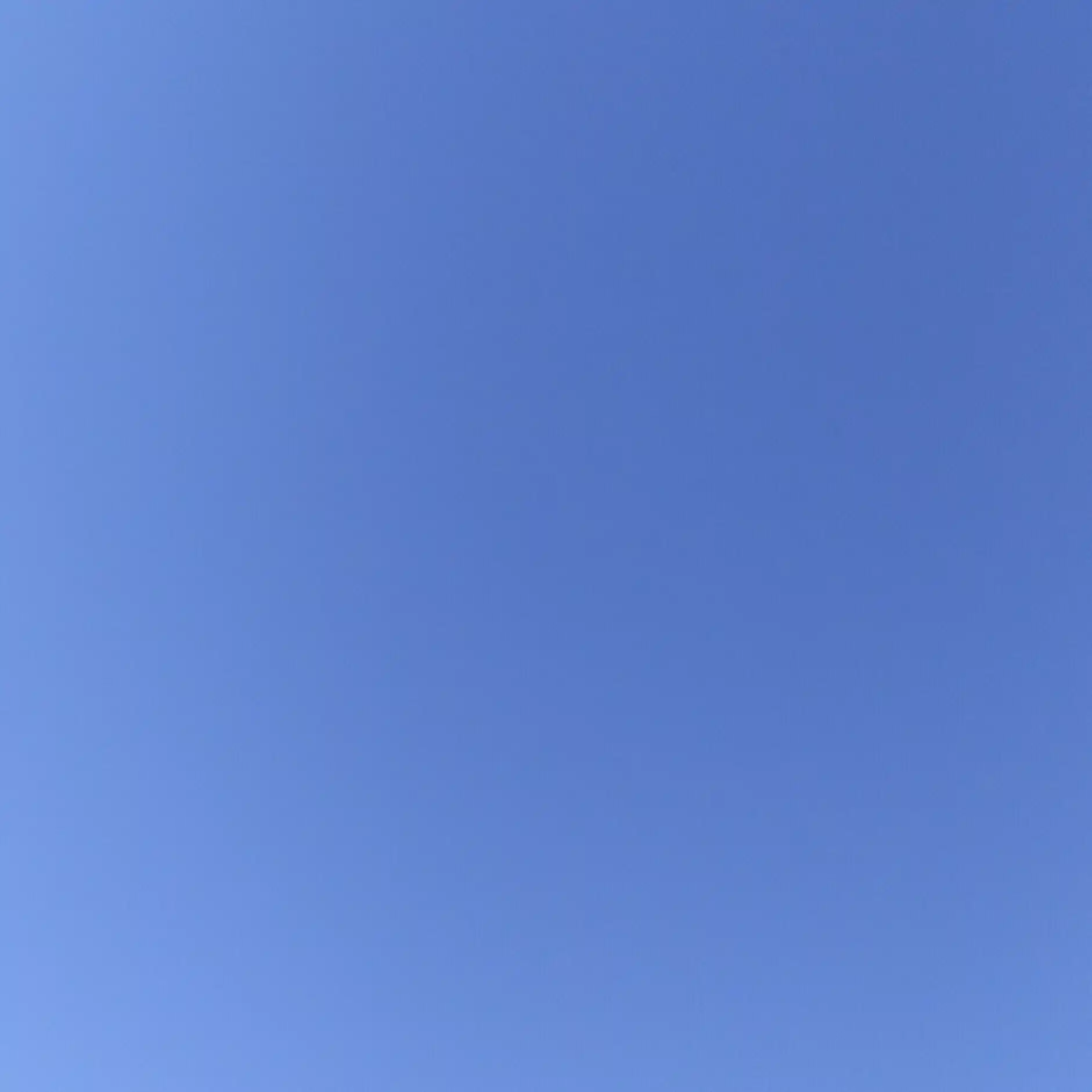ぺんぎん