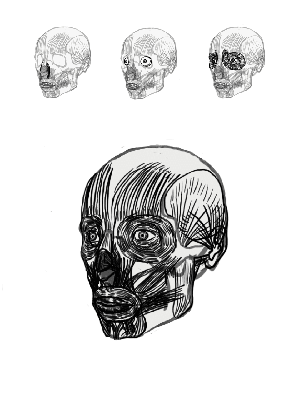 顔の筋肉 ふじ Note