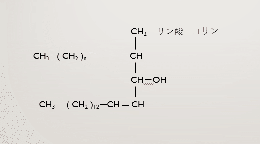 キャプチャ