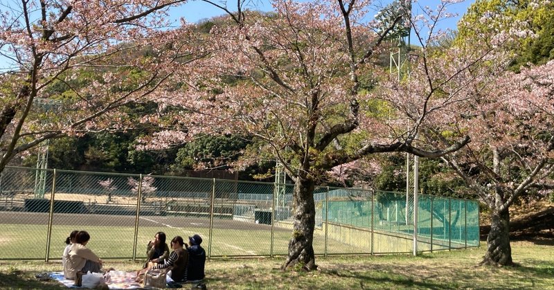 お花見に