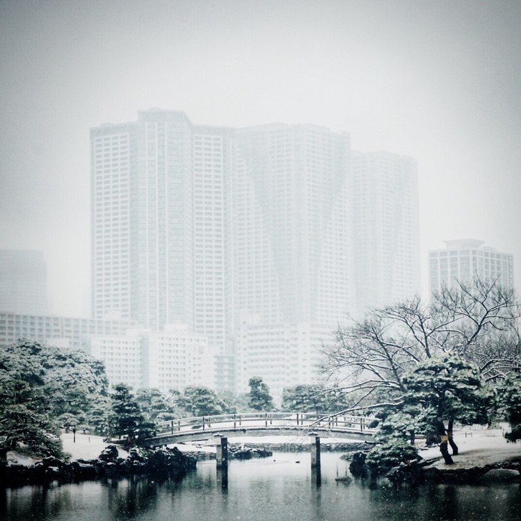 まっしろ
#雪 #東京 #ビル #橋 #2月