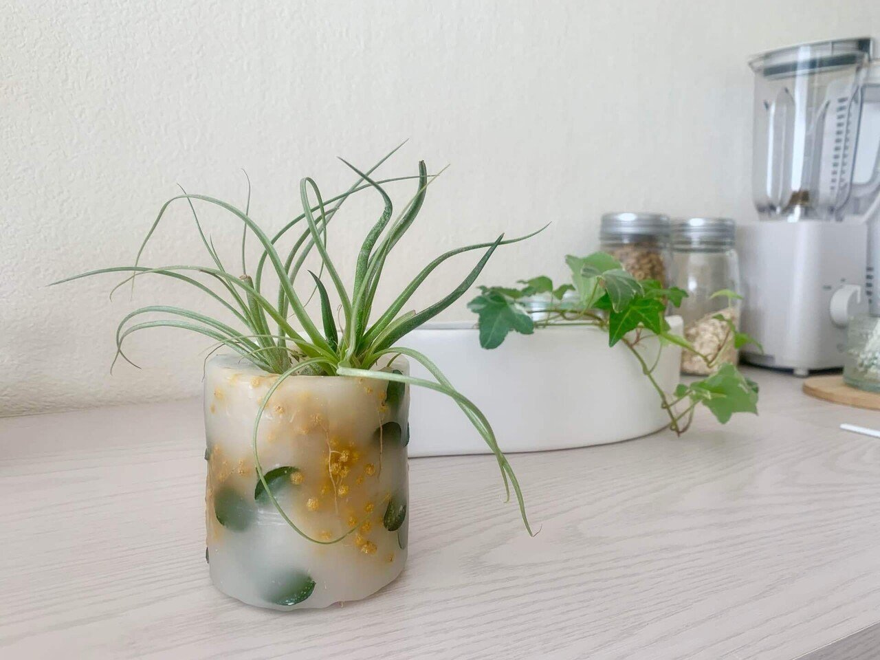 キャンドルを育ててみよう｜jeweri