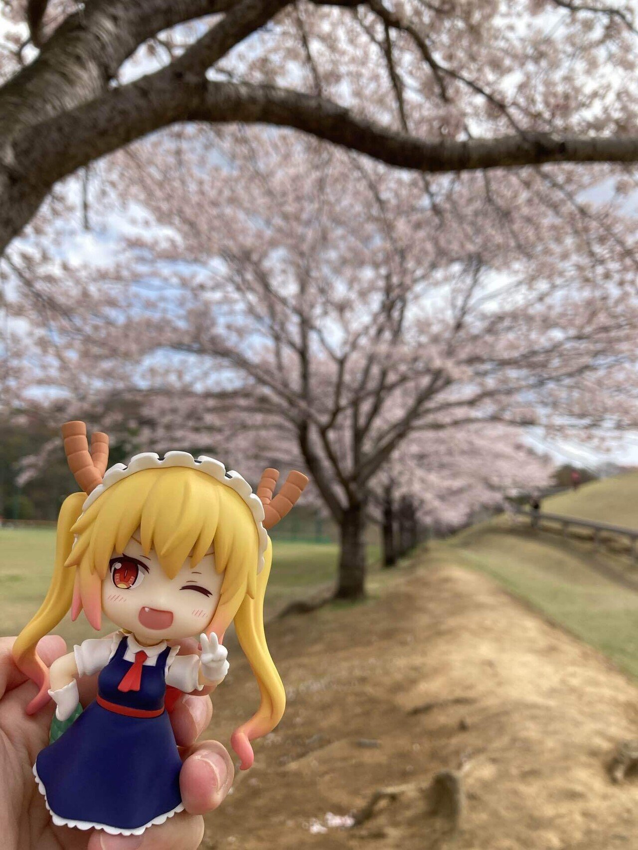 ねんどろいど トール 小林さんちのメイドラゴン｜さかもと