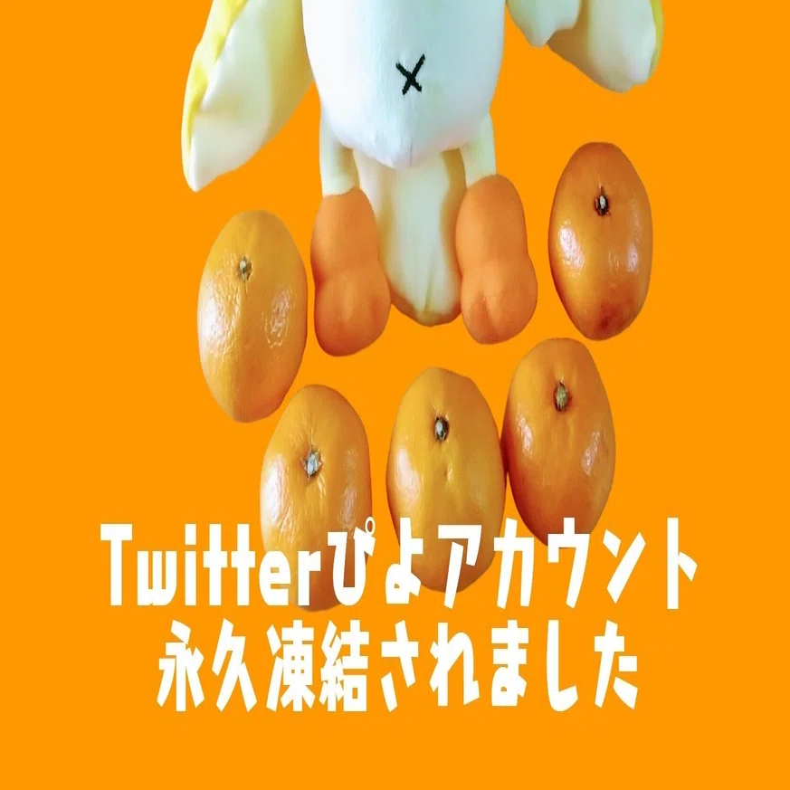 ひよこ人間ぴよのTwitterアカウントを凍結されてしまいましたので