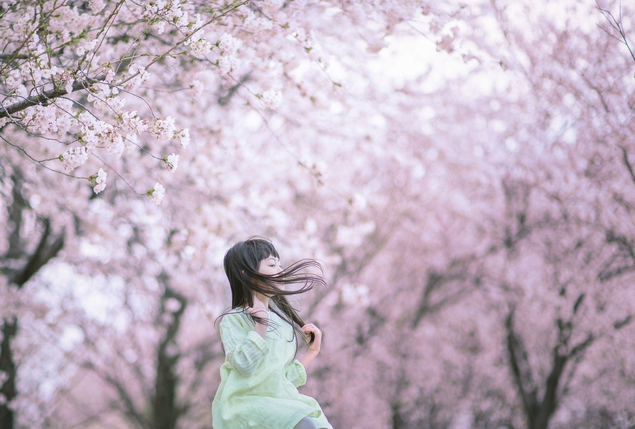 Lightroom Photoshop 桜ポートレート レタッチ 桜吹雪ブラシ スマホ用素材付き Kogame Note Lightroom Photoshop 桜ポートレート レタッチ 桜吹雪ブラシ スマホ用素材付き Kogame Note