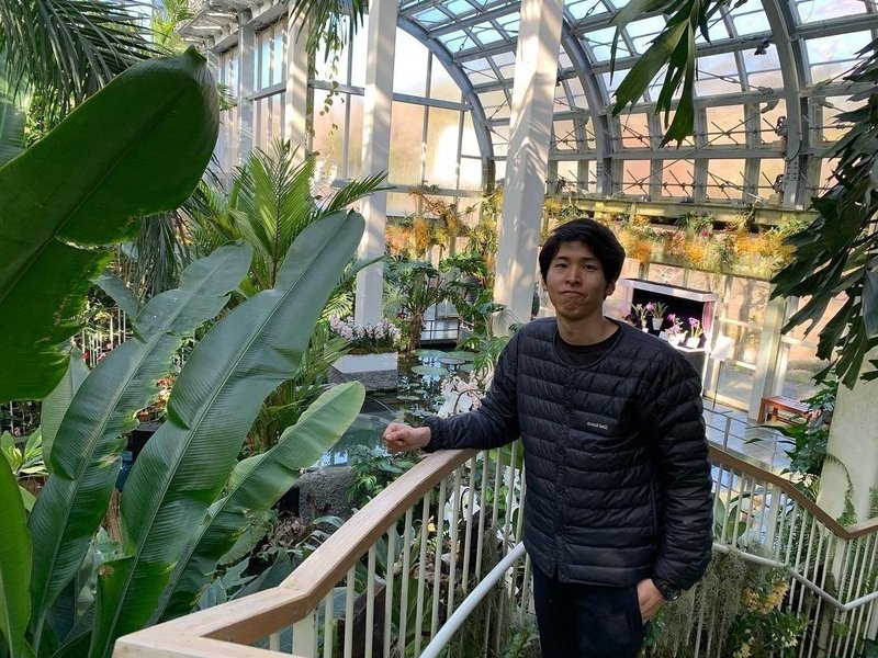 花芽と葉芽の見分け方 平屋私庭日記 13 ライツ社 花芽と葉芽の見分け方 平屋私庭日記 13 ライツ社