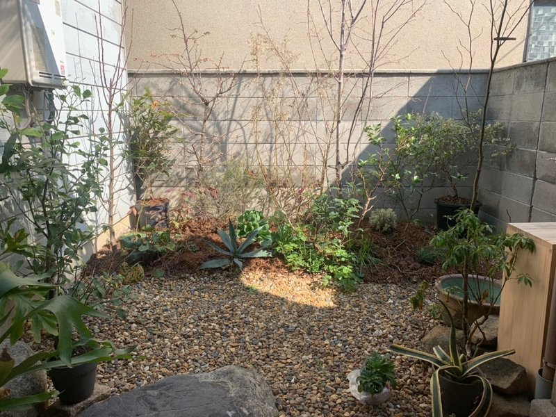 花芽と葉芽の見分け方 平屋私庭日記 13 ライツ社 花芽と葉芽の見分け方 平屋私庭日記 13 ライツ社