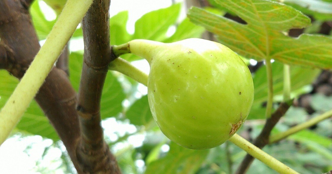 1b4e2b0847c166554a950b7ac7dd8c