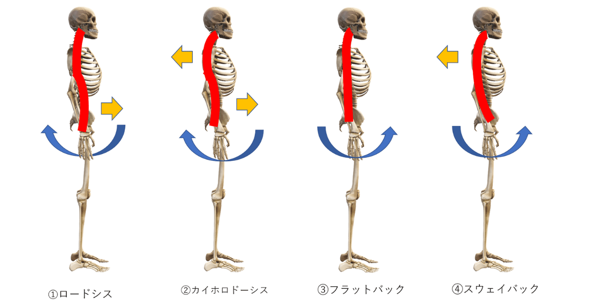 写真で見る姿勢均整術と整復手技 写真で見る姿勢均整術と整復手技 : 長谷愼一 | HMV&BOOKS online