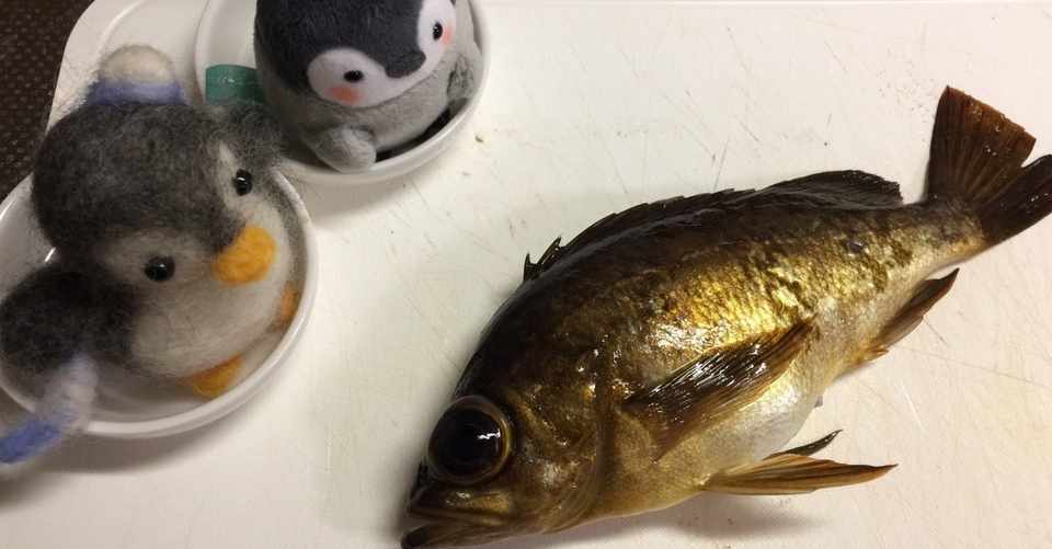 煮付け メバルを美味しく 今日のアジはどんな味 たのしいアジングと激うまレシピ Note