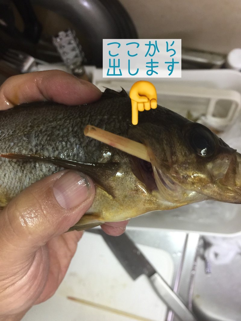 煮付け メバルを美味しく 今日のアジはどんな味 たのしいアジングと激うまレシピ Note 煮付け メバルを美味しく 今日のアジはどんな味 たのしいアジングと激うまレシピ Note