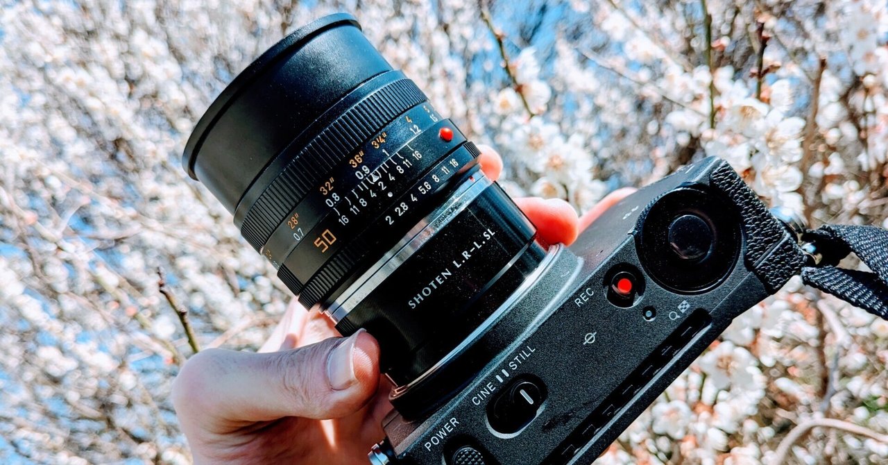 ねっとりしたコントラストのレンズが好き Leica Summicron-R 50mm F2(R