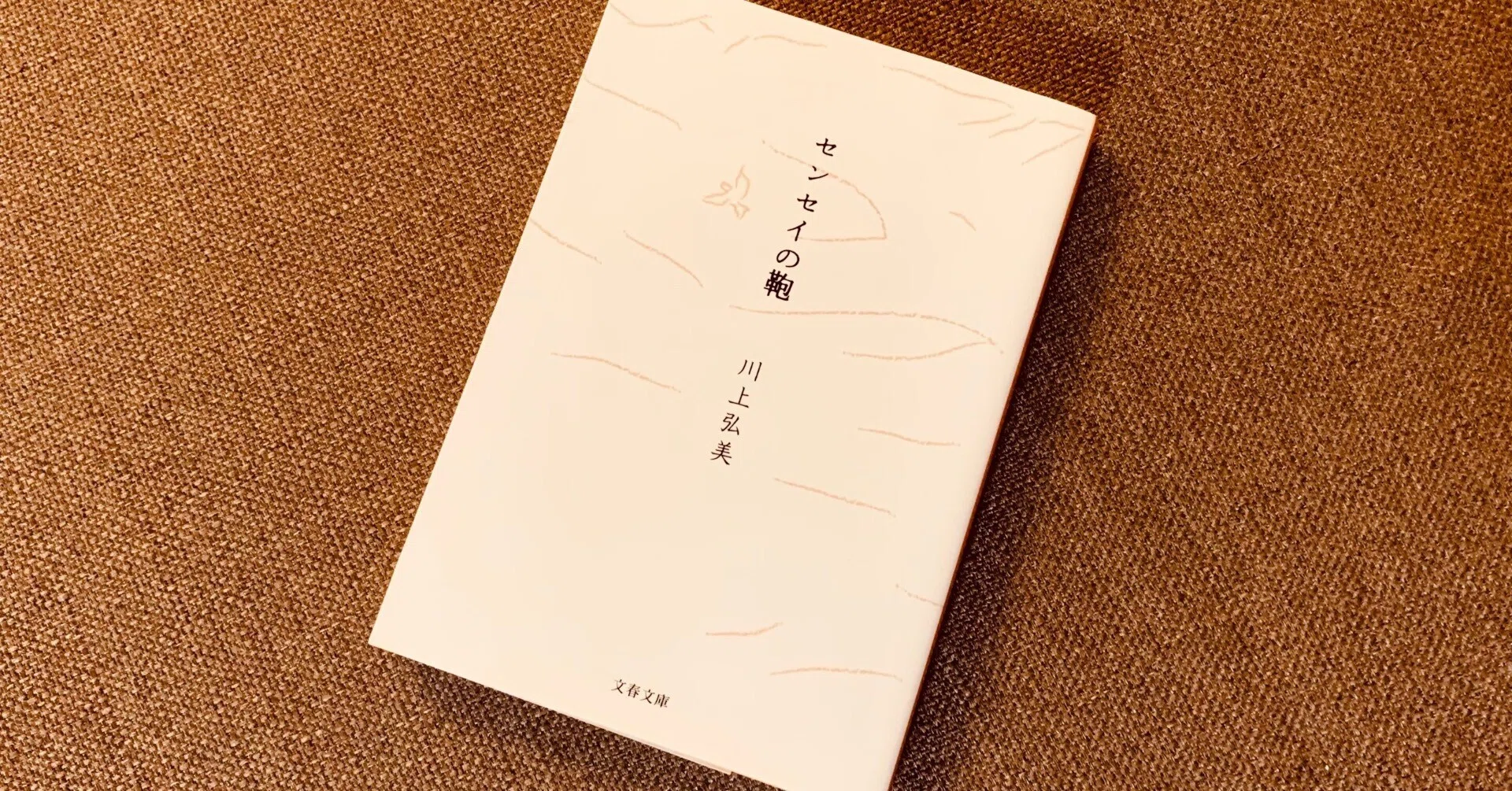 読書録】『センセイの鞄』川上弘美｜サザヱ