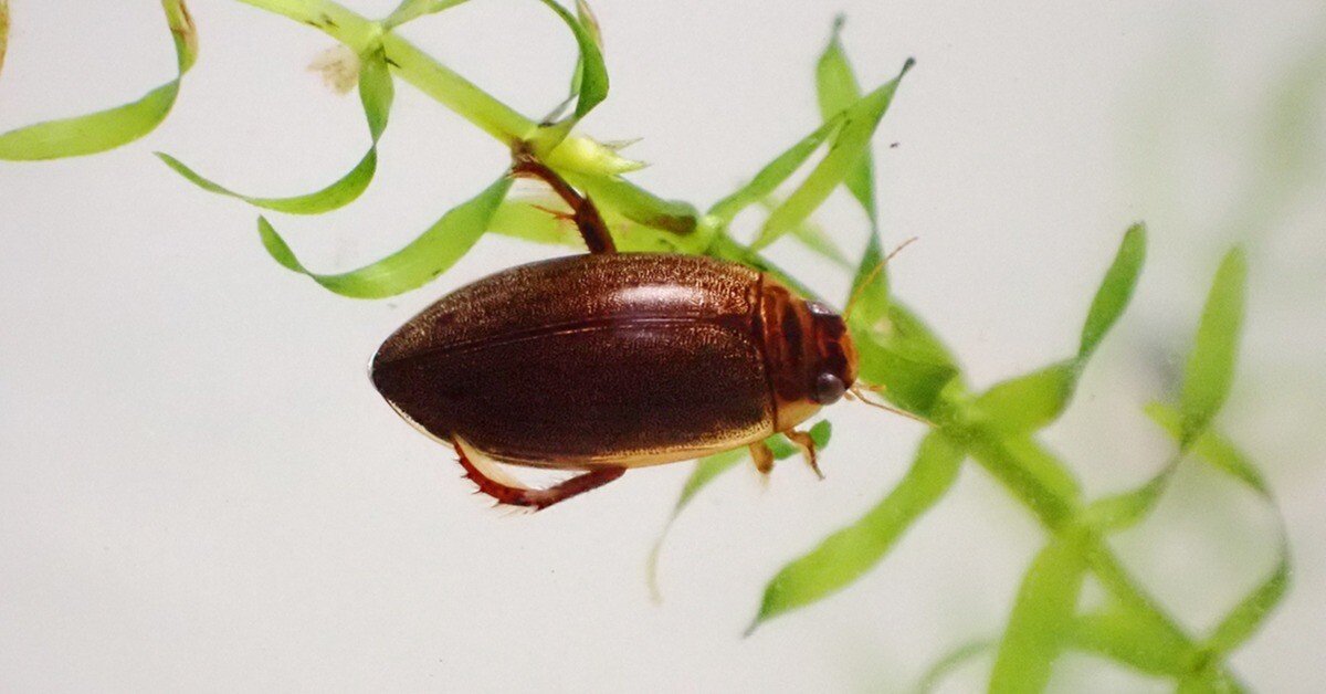 6020ad84521c5d85f6e3b110c5541e