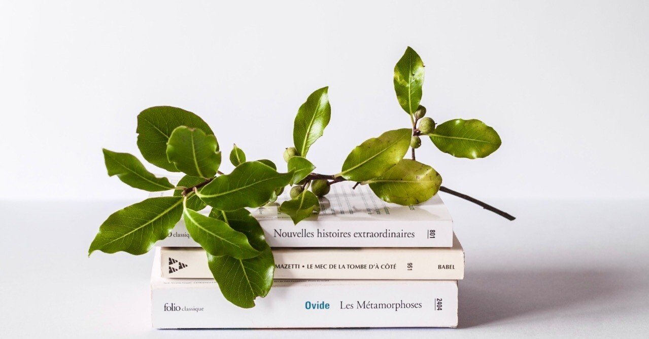 フランス語 辞書の選び方📕〈仏和・和仏編〉|そ よ そ よ / 翻訳家