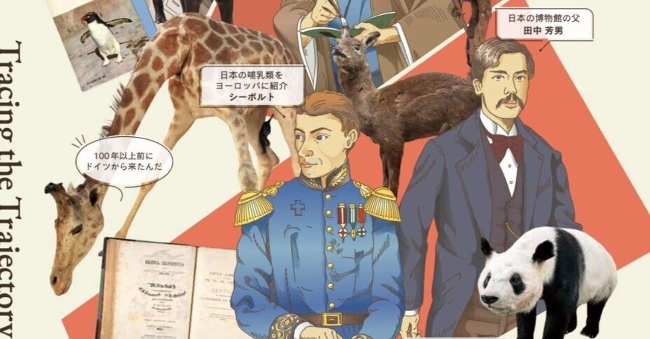 【ニュース】人気本『標本バカ』の特集企画が上野の科博でスタート間近！ キリン（剥製）も帰ってくる！