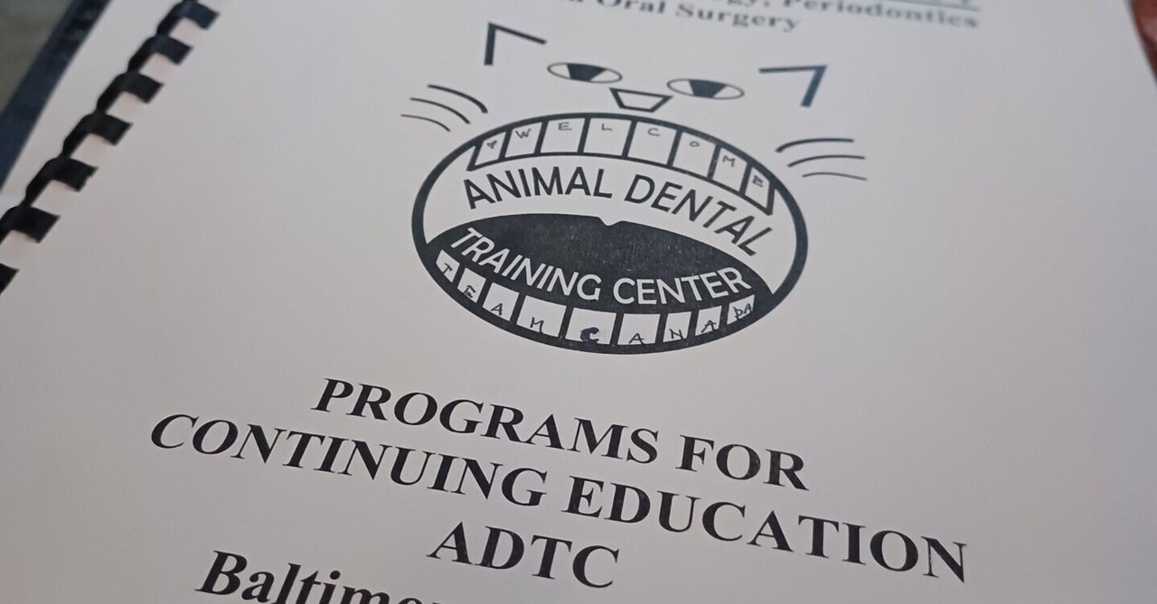 Animal Dental Training Center, Day 1｜Yuzu Vet in Canada