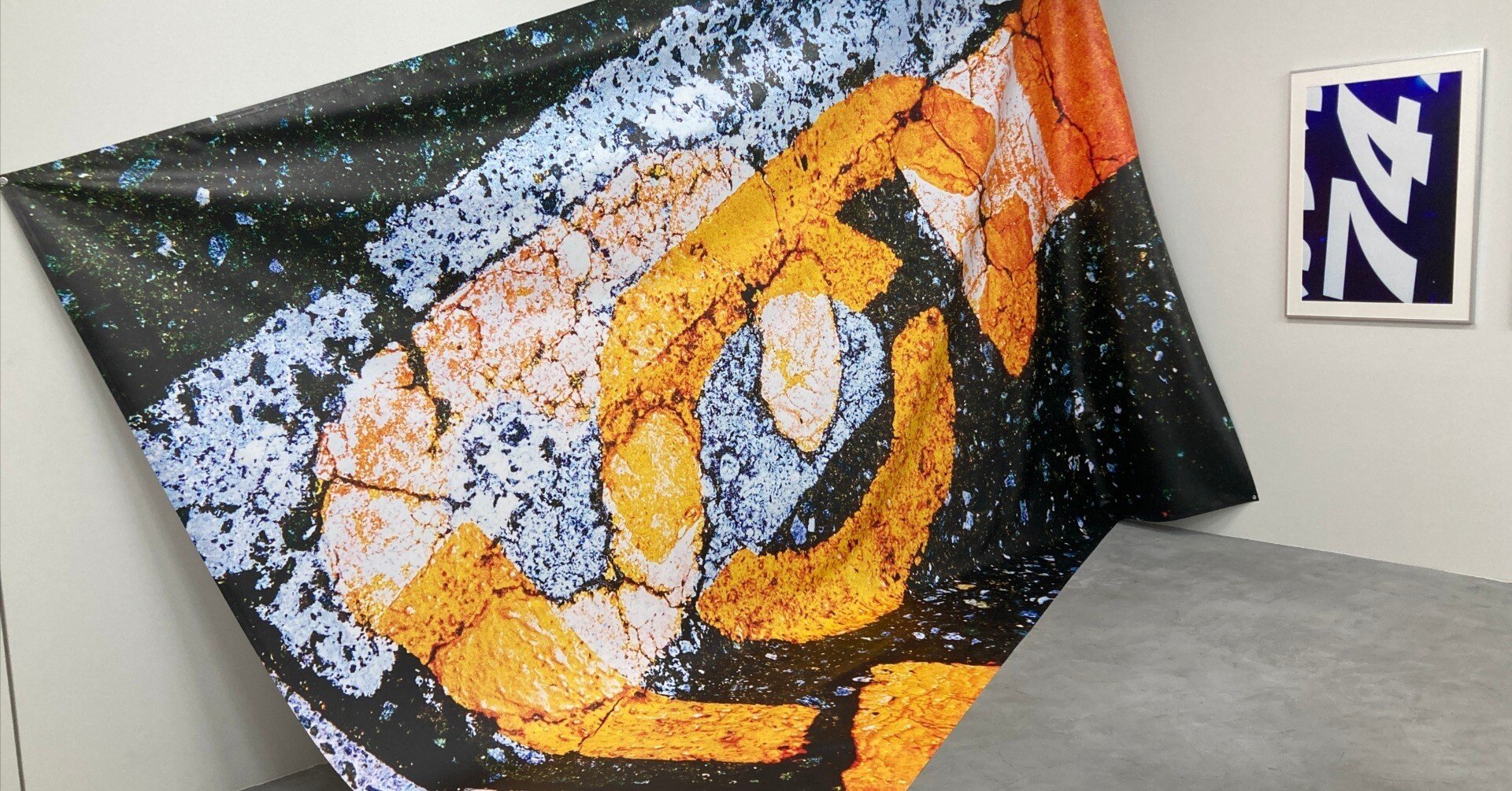 小宮山俊、【華宴（菖蒲）】、希少な額装用画集より、新品額装付、状態良好 小宮山俊、【華宴（菖蒲）】、希少な額装用画集より、新品額装付、状態良好