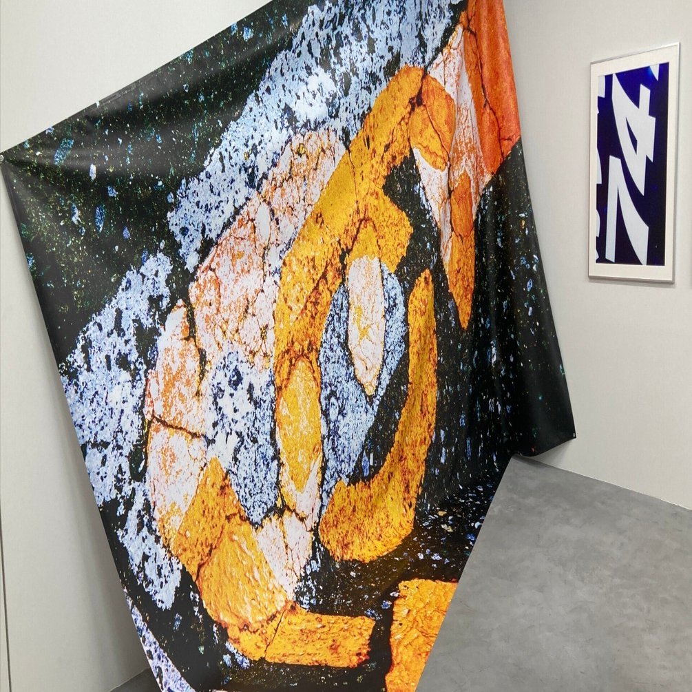 小宮山俊、【華宴（菖蒲）】、希少な額装用画集より、新品額装付、状態良好 小宮山俊、【華宴（菖蒲）】、希少な額装用画集より、新品額装付、状態